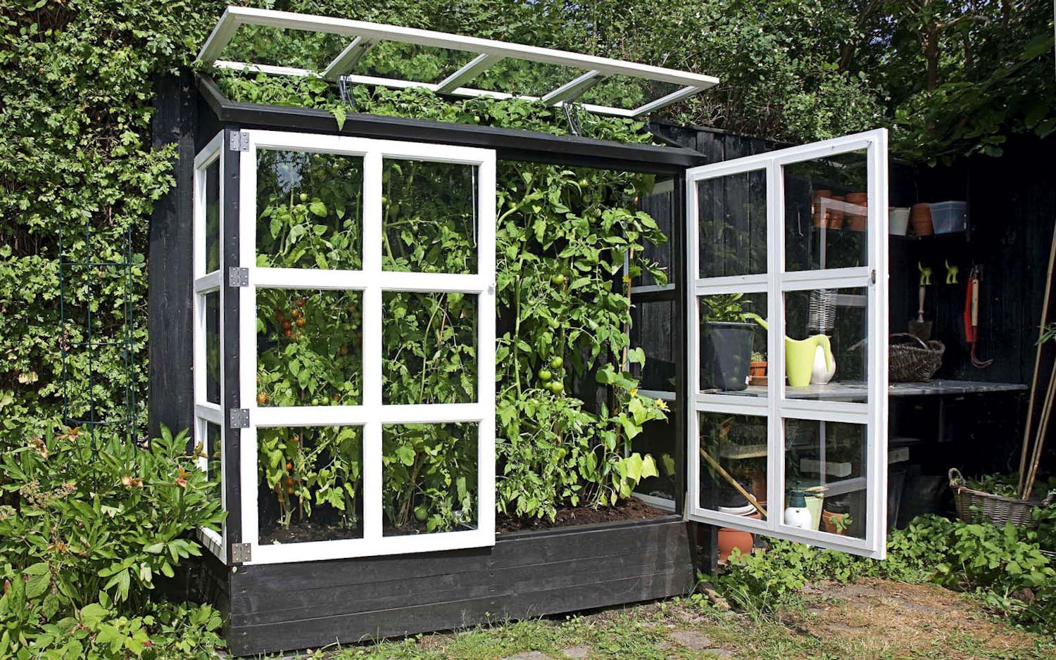 Växthus mot vägg Bygga växthus mot vägg